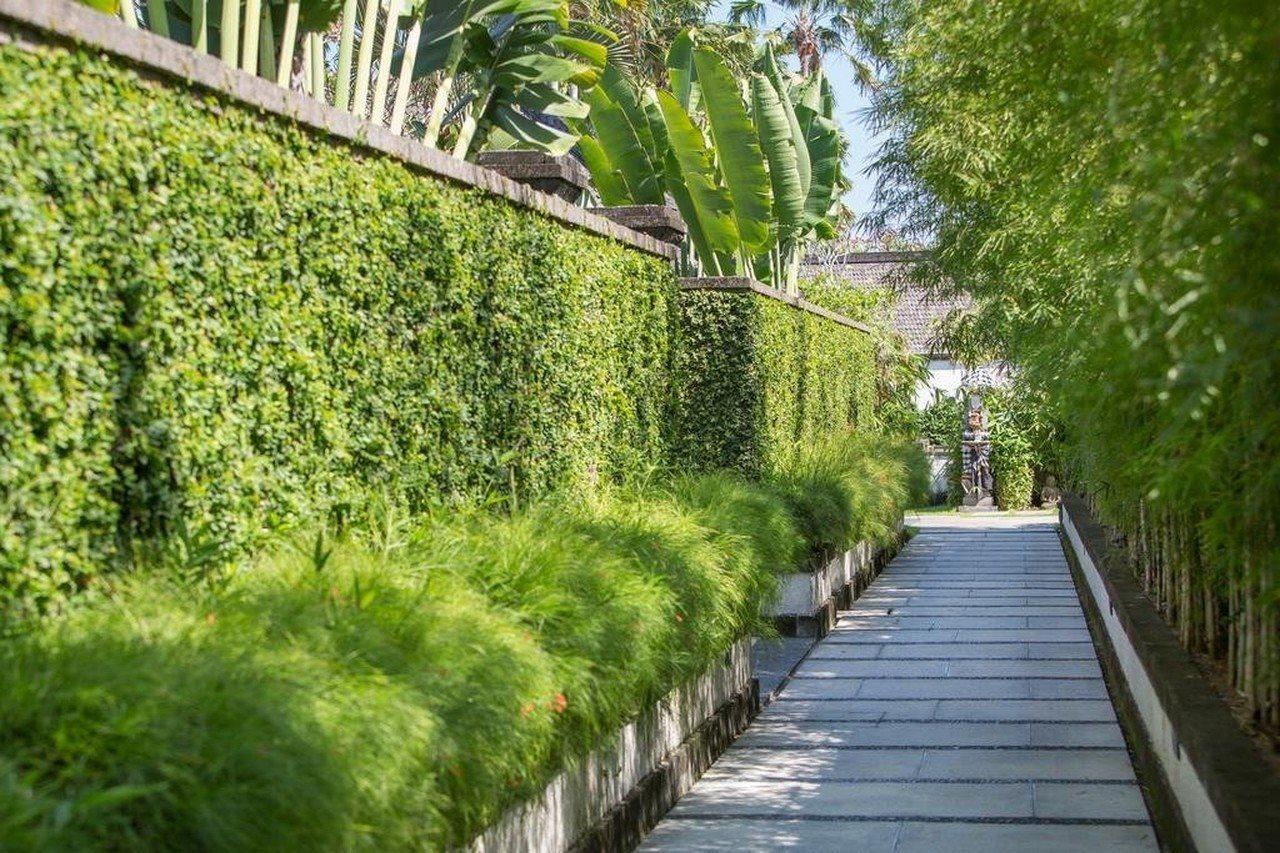 Villa Air Bali Boutique Resort And Spa Petitenget  Kültér fotó